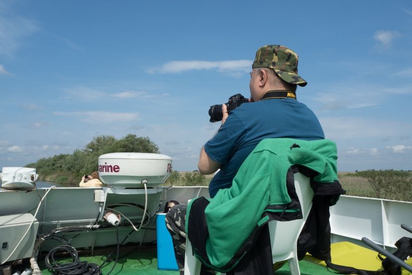 P5110281 - VIVATRONIK 1