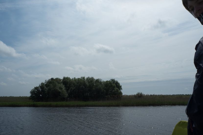 P5110296 - VIVATRONIK 1