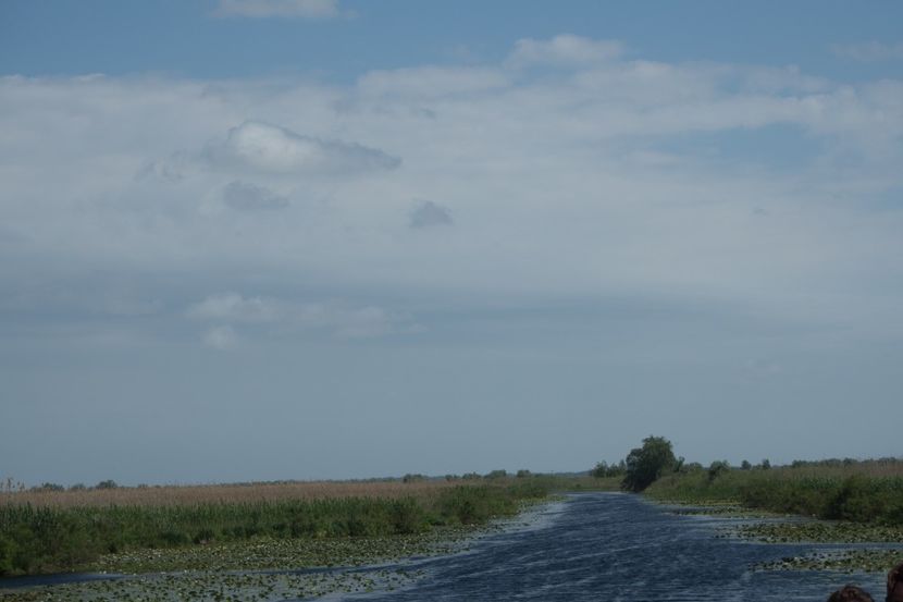 P5110347 - VIVATRONIK 1