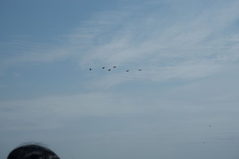 P5110362 - VIVATRONIK 1