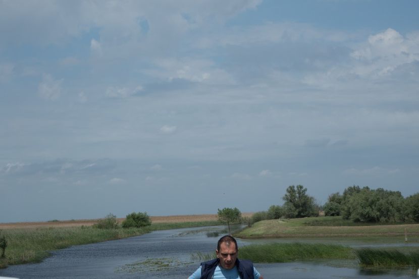 P5110378 - VIVATRONIK 1