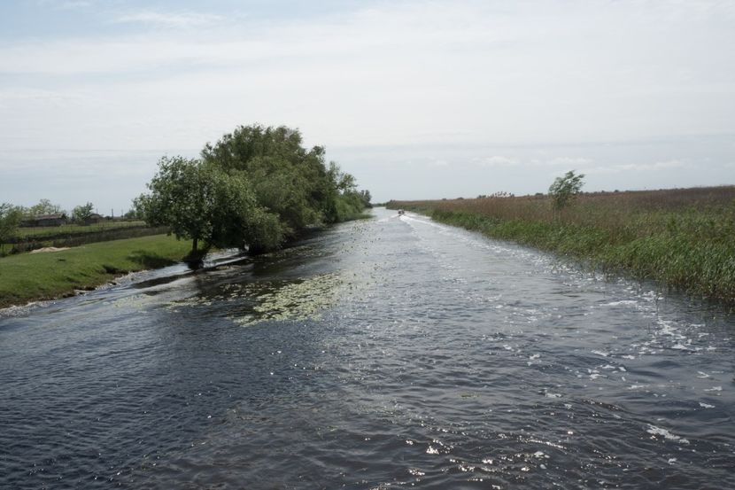 P5110385 - VIVATRONIK 1