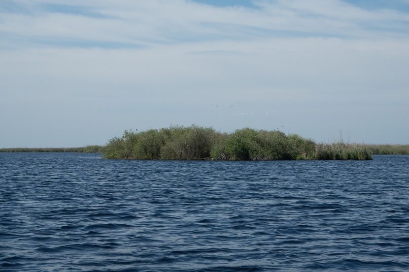 P5120533 - VIVATRONIK 2