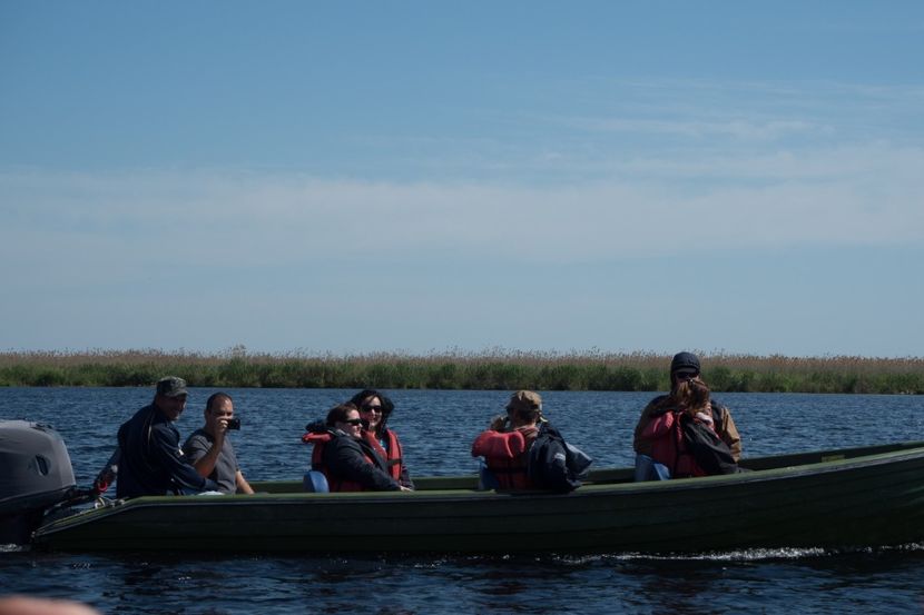 P5120535 - VIVATRONIK 2