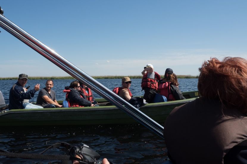 P5120536 - VIVATRONIK 2