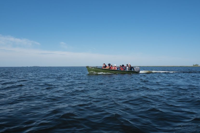 P5120539 - VIVATRONIK 2