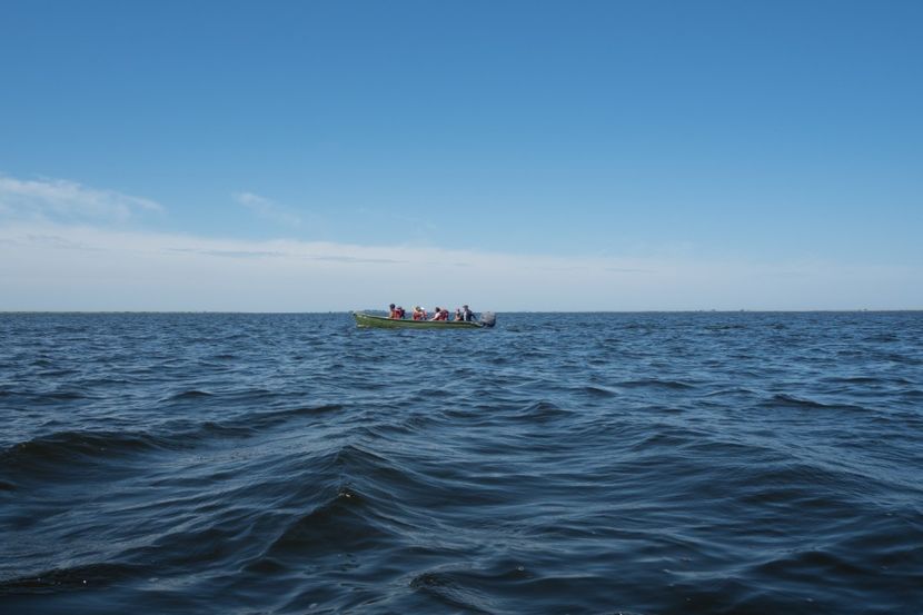 P5120540 - VIVATRONIK 2