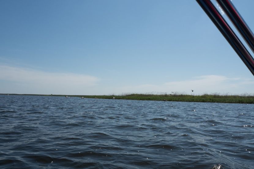 P5120541 - VIVATRONIK 2