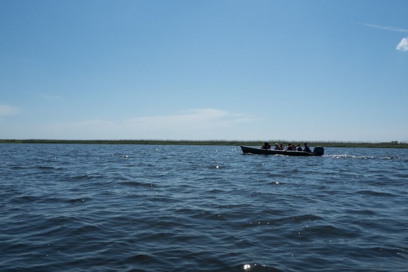 P5120561 - VIVATRONIK 2