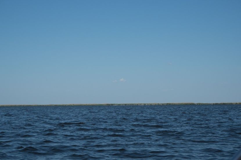 P5120563 - VIVATRONIK 2