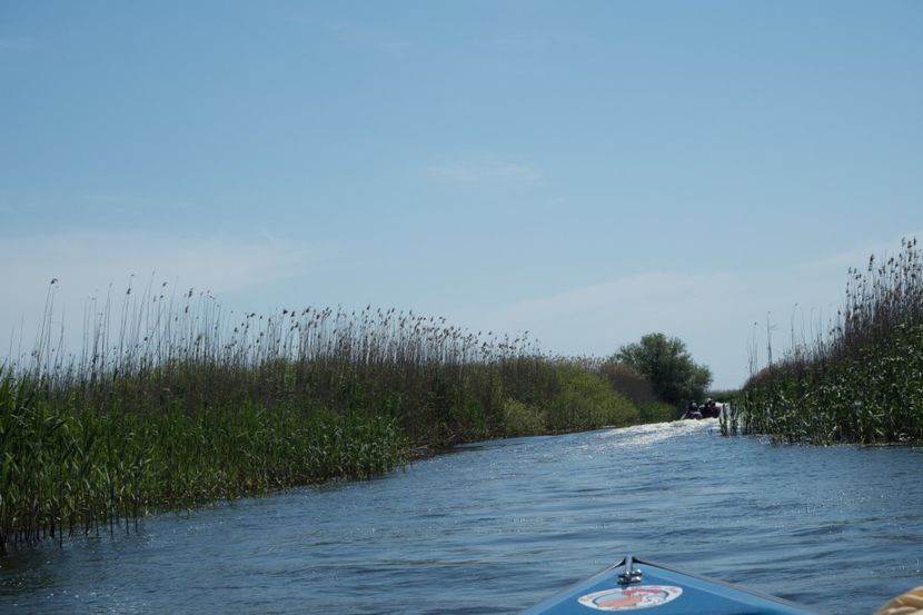 P5120564 - VIVATRONIK 2