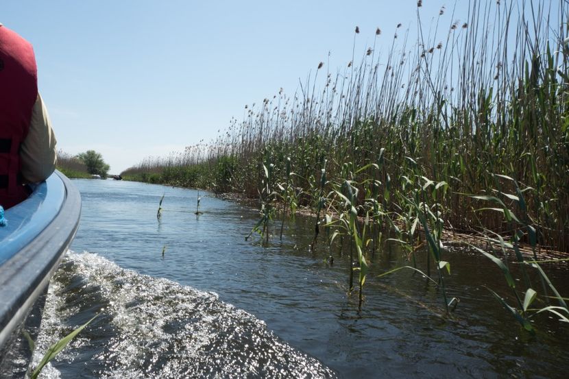 P5120566 - VIVATRONIK 2