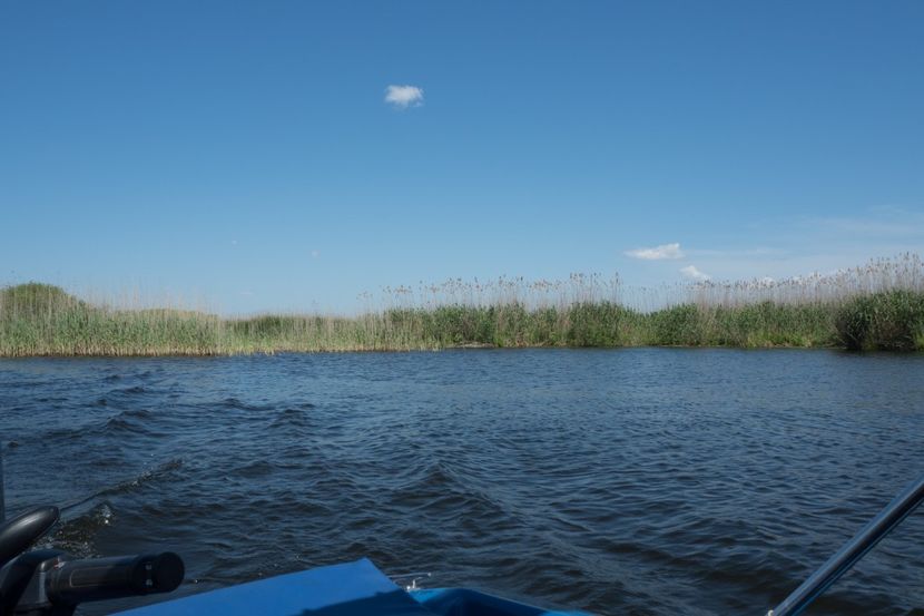 P5120568 - VIVATRONIK 2