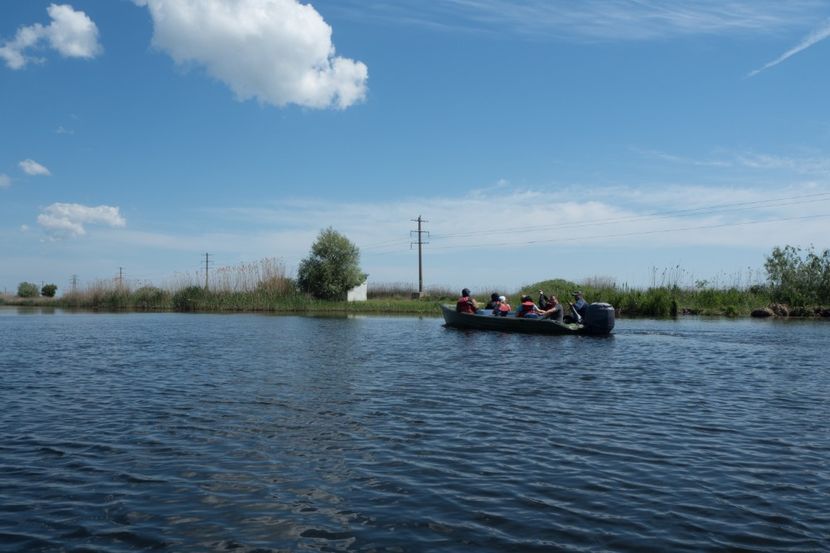 P5120570 - VIVATRONIK 2