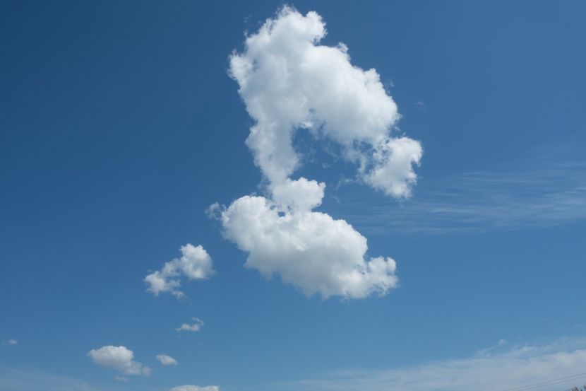 P5120571 - VIVATRONIK 2