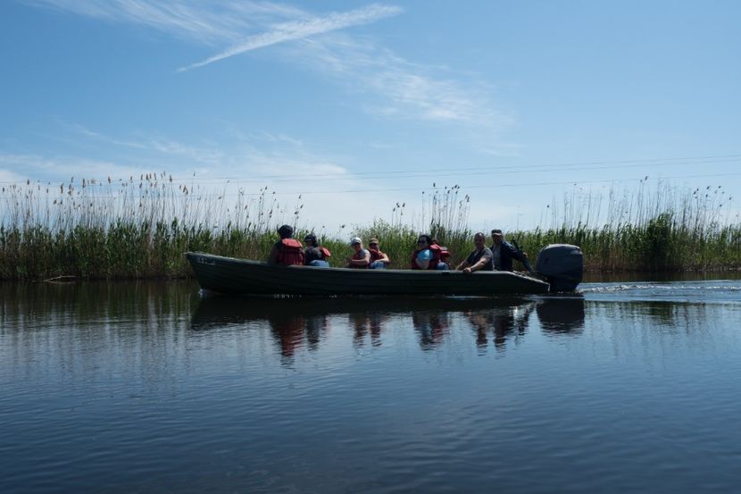 P5120574 - VIVATRONIK 2