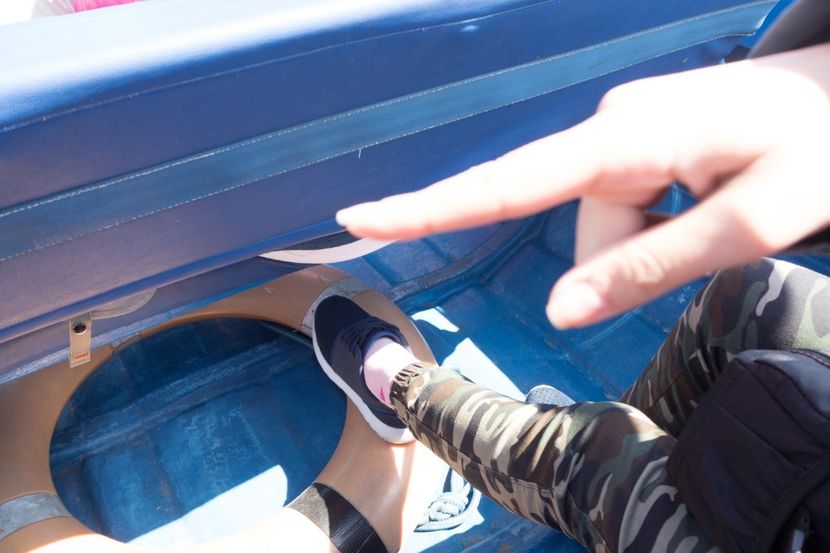 P5120581 - VIVATRONIK 2