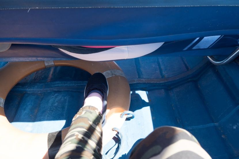 P5120583 - VIVATRONIK 2