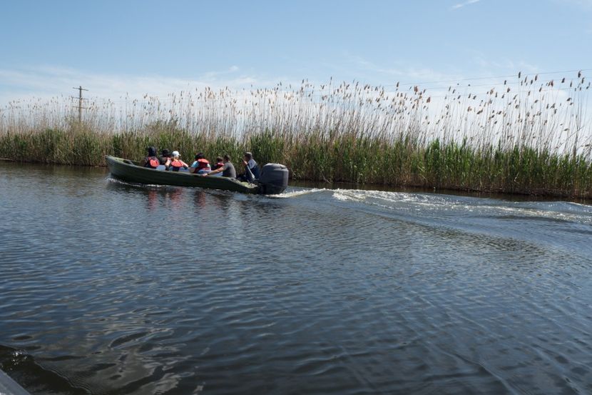 P5120585 - VIVATRONIK 2