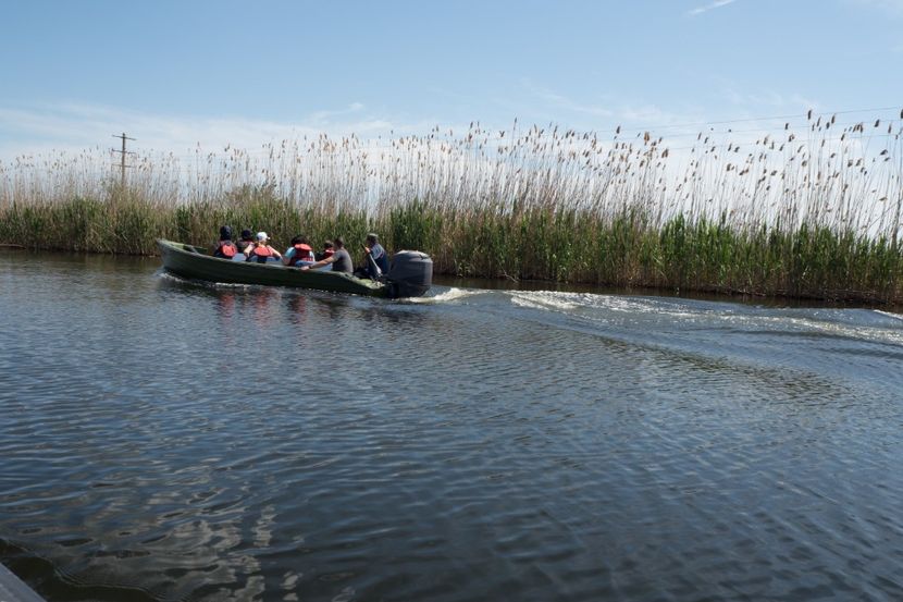 P5120587 - VIVATRONIK 2