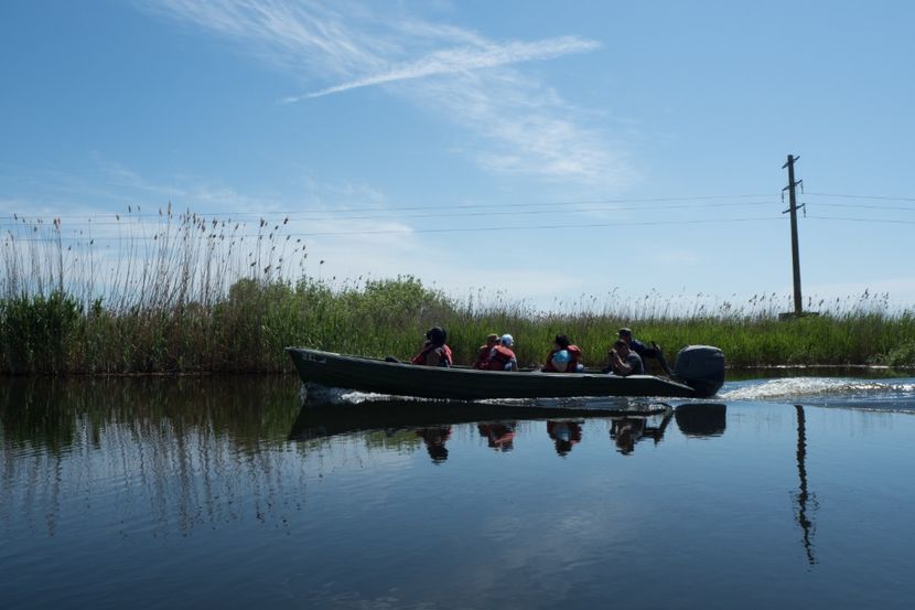 P5120588 - VIVATRONIK 2