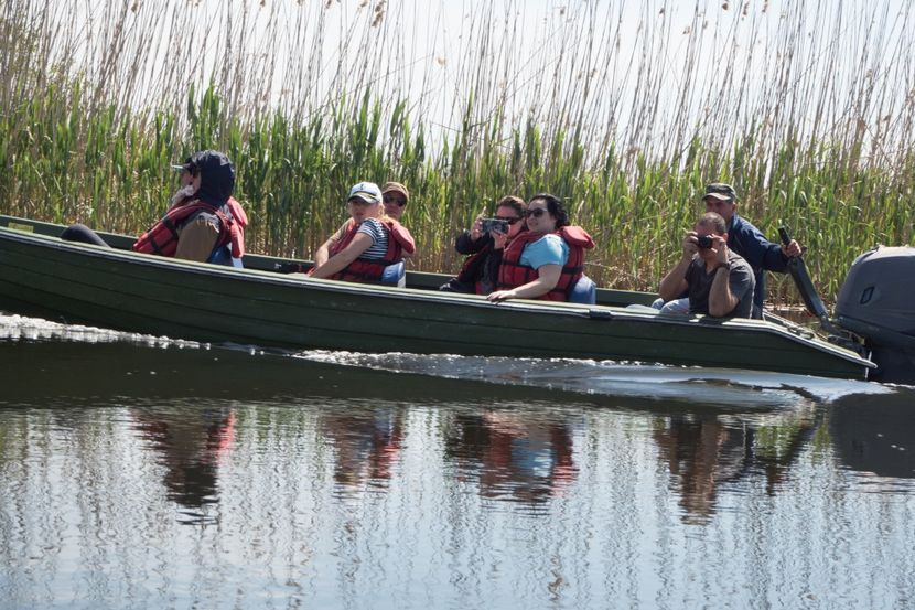 P5120589 - VIVATRONIK 2