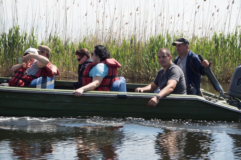 P5120591 - VIVATRONIK 2