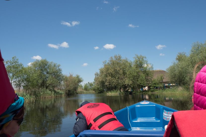 P5120592 - VIVATRONIK 2