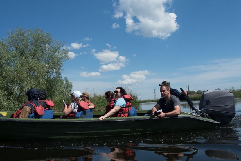 P5120593 - VIVATRONIK 2