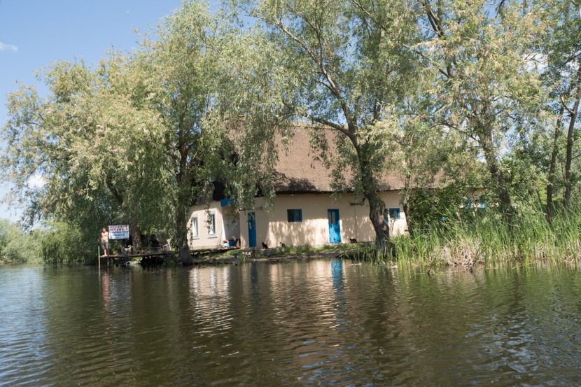 P5120595 - VIVATRONIK 2