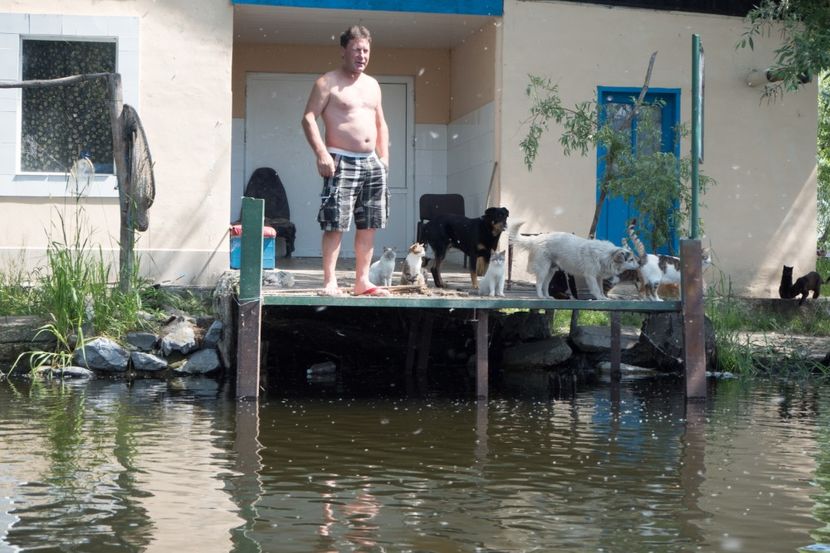 P5120598 - VIVATRONIK 2