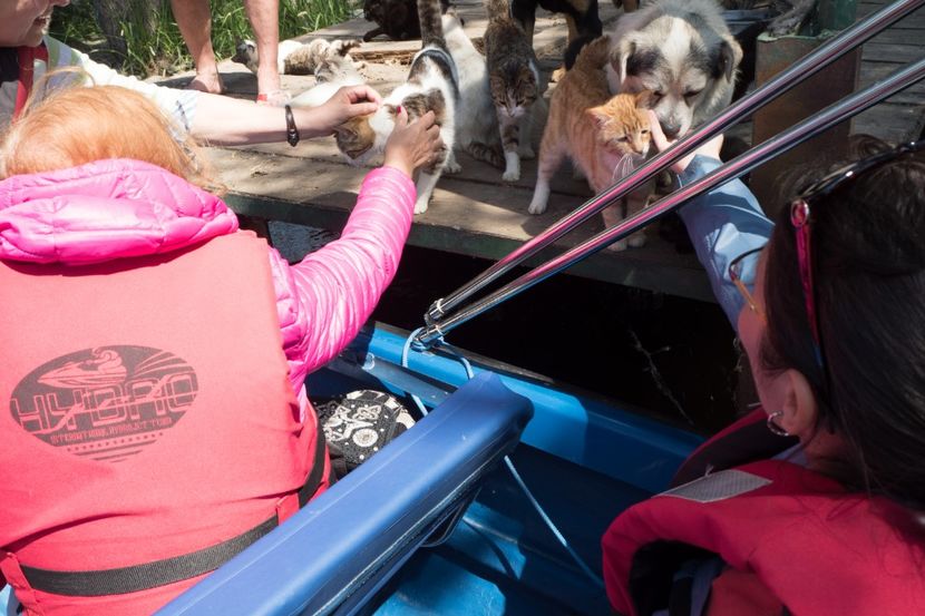 P5120602 - VIVATRONIK 2