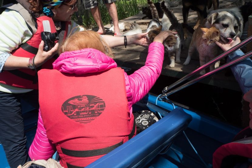 P5120603 - VIVATRONIK 2