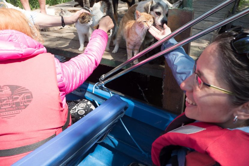 P5120604 - VIVATRONIK 2