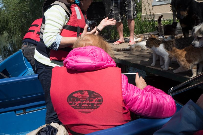 P5120606 - VIVATRONIK 2