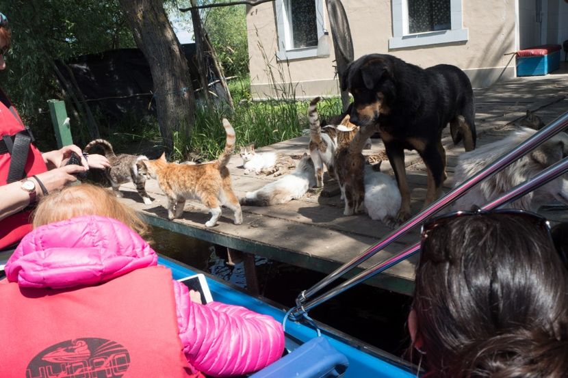 P5120610 - VIVATRONIK 2