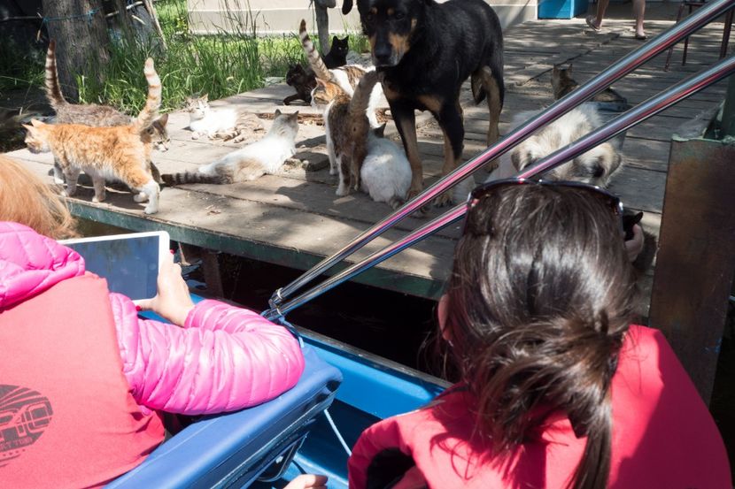 P5120611 - VIVATRONIK 2