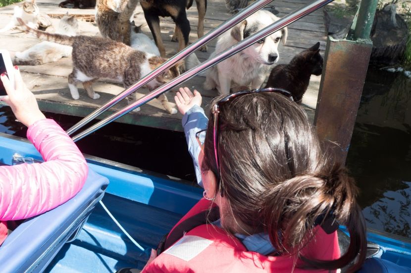 P5120613 - VIVATRONIK 2