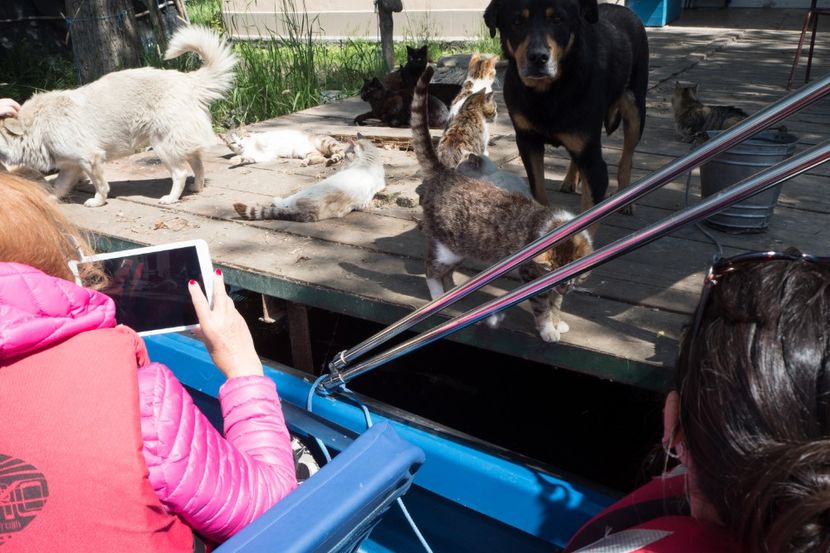 P5120615 - VIVATRONIK 2