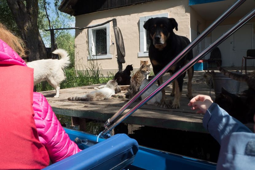 P5120616 - VIVATRONIK 2