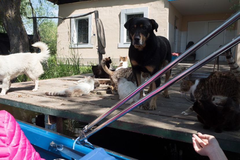 P5120617 - VIVATRONIK 2