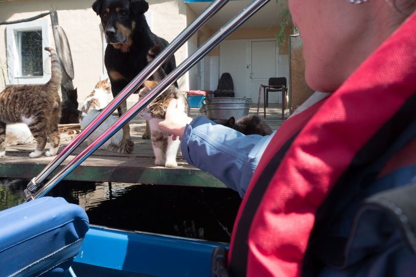 P5120618 - VIVATRONIK 2