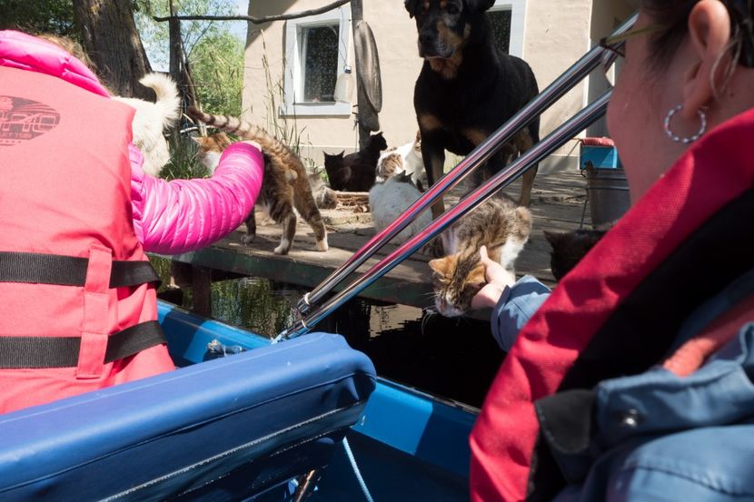 P5120619 - VIVATRONIK 2