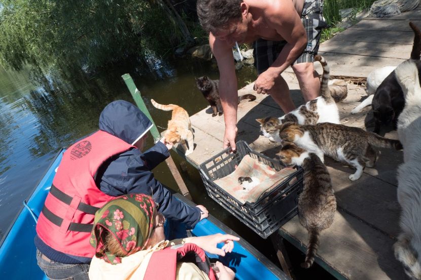 P5120620 - VIVATRONIK 2