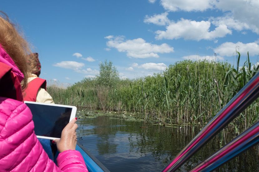 P5120623 - VIVATRONIK 2