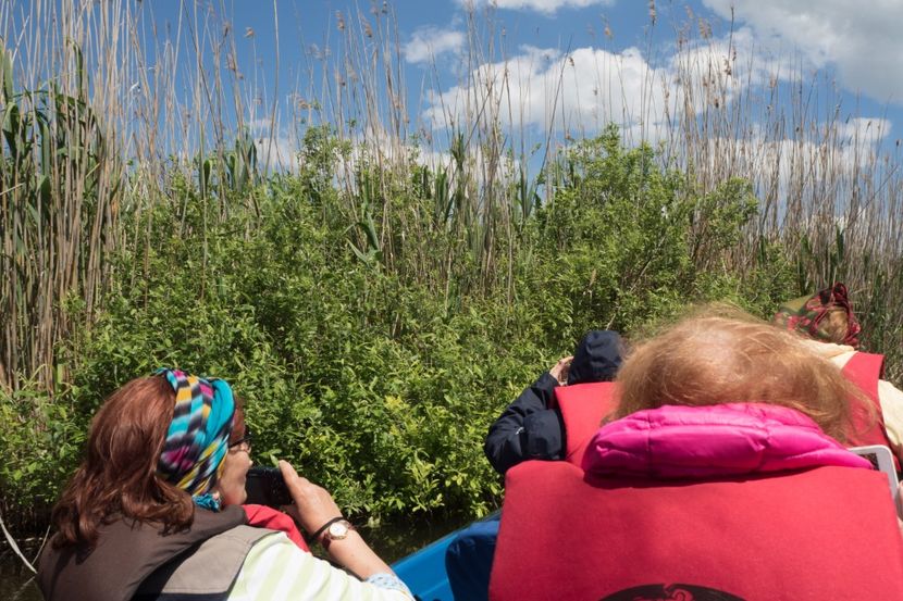 P5120632 - VIVATRONIK 2