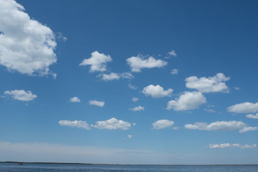 P5120634 - VIVATRONIK 2