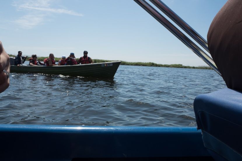 P5120637 - VIVATRONIK 2