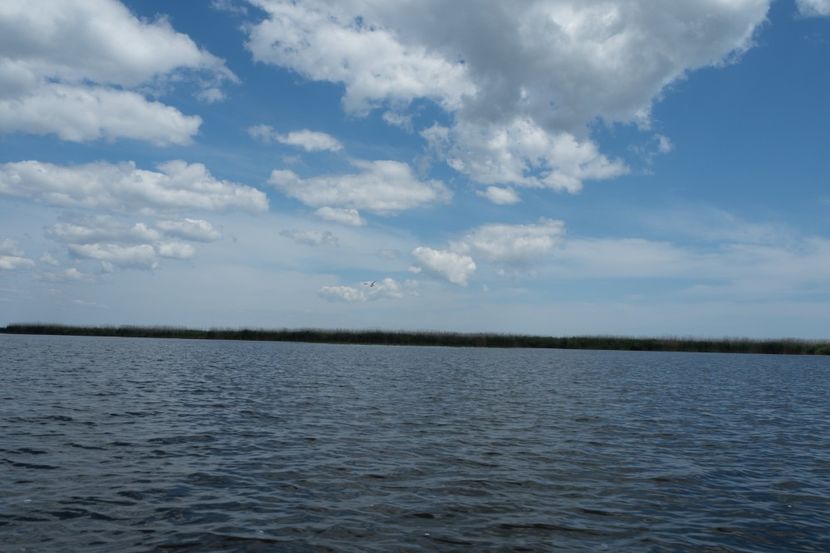 P5120639 - VIVATRONIK 2