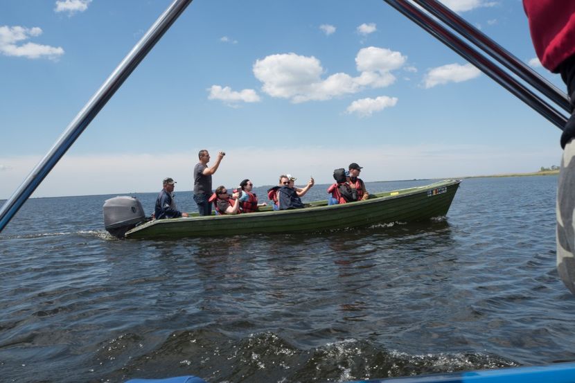 P5120640 - VIVATRONIK 2